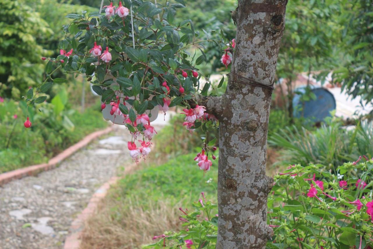 Thang Nam Ruc Ro - Dalat Homestay Εξωτερικό φωτογραφία
