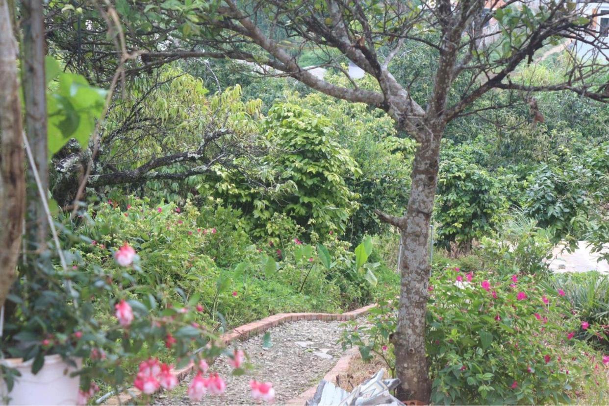 Thang Nam Ruc Ro - Dalat Homestay Εξωτερικό φωτογραφία